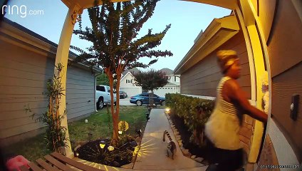 Woman Chased by a Monkey With a Diaper On