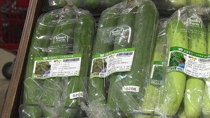 [굿모닝경제] 이번 주 물가안정대책 발표...내일 한·중 외교 회담 '칩4' 논의 / YTN