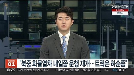 RFA "북중 화물열차 운행 내일쯤 재개…트럭은 하순쯤"