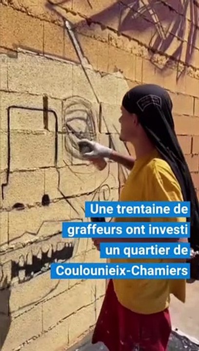 Des graffeurs de toute la France investissent un quartier de Coulounieix-Chamiers