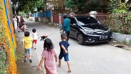 TOPENG MONYET MONYET PINTAR Full Attraction topeng monyet