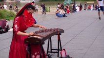 Dragon Fist II Chinese Musical Instruments Guzheng Cover II Jingxuan