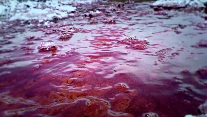 TOP 10 Zonas Prohibidas Capturadas Ilegalmente Con Un Drone