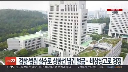 검찰·법원 실수로 상한선 넘긴 벌금…비상상고로 정정