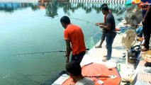 Village Pond Hook  fishing __ catching deffrent fishes in pond __ হুইল বড়শিতে পাংগাস মাছ শিকার