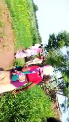 एंबुलेंस तक मरीज को पहुंचाने 3 किमी खटिया पर रखकर ले गए ग्रामीण, तब जाकर वह पहुंचा अस्पताल