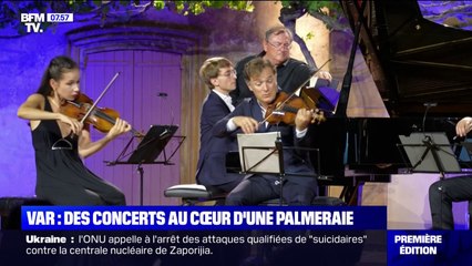 Le violoniste Renaud Capuçon profite de l'été pour donner des concerts au cœur d'une palmeraie de Saint-Tropez