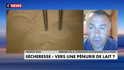 Yannick Fialip : «Les animaux ont baissé leur production avec la sécheresse et canicule que nous vivons»