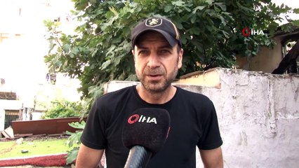 Pitbull köpekleri 25 kediyi öldürdü, mahalleli isyan etti! O anlar kamerada