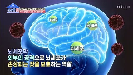 치매 예방에 도움을 주는 【 포스파티딜세린 】 TV CHOSUN 20220808 방송