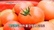 [Tasty] A tomato festival, 생방송 오늘 저녁 220808
