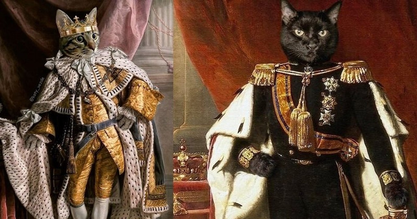 Cette artiste transforme des photos de chats en véritables peintures