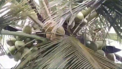 My first vlog, 3 month later ? Vlog video ? Round2 manpur ?