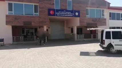 Göçmen kaçakçılığı yaptığı iddia edilen şüpheli gözaltına alındı