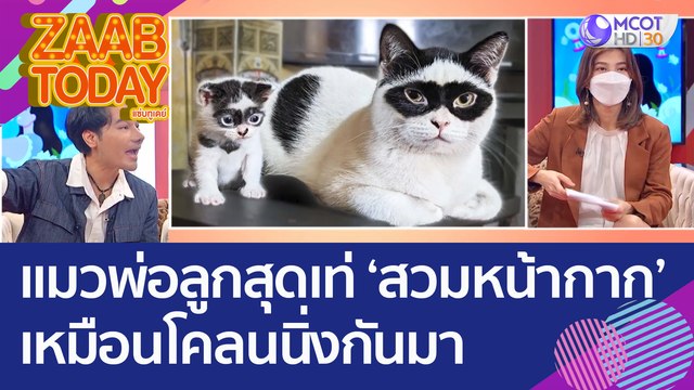 แมวพ่อลูกสุดเท่ ‘สวมหน้ากาก’ ทั้งคู่ เหมือนโคลนนิ่งกันมา (8 ส.ค. 65) แซ่บทูเดย์
