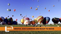 Bristol headlines 8 August: Bristol Zoo Gardens set to close ahead of move