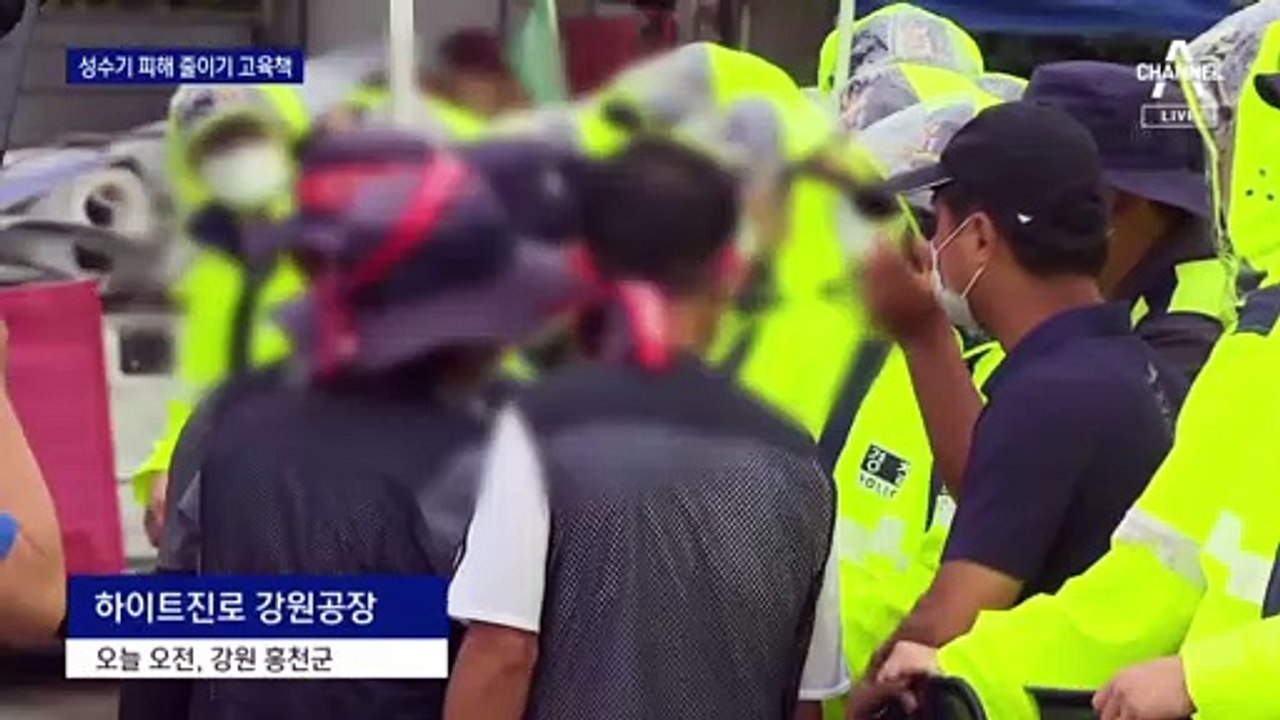 “성수기 공급 차질로 100억 피해”…맥주 출고 재개작전