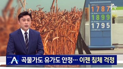곡물가도 국제 유가도 안정…이젠 경기 침체 걱정