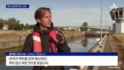 센 강에 북극 흰고래 발견…칠레 북부에 200m 깊이 싱크홀