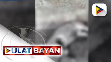 Pagkamatay ng ilang hayop sa Toledo, Cebu, pinaniniwalaang kagagawan ng aswang