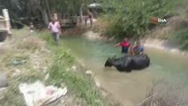 Son dakika haberleri | Sulama kanalına düşen ineğin yardımına itfaiye yetişti