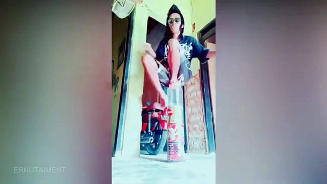 kucing lucu bikin gemes