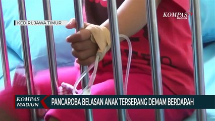 Pancaroba Belasan Anak Terserang Demam Berdarah
