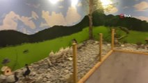 Kastamonu haberleri... Küre Dağları Milli Parkında tahnit müzesi kuruldu