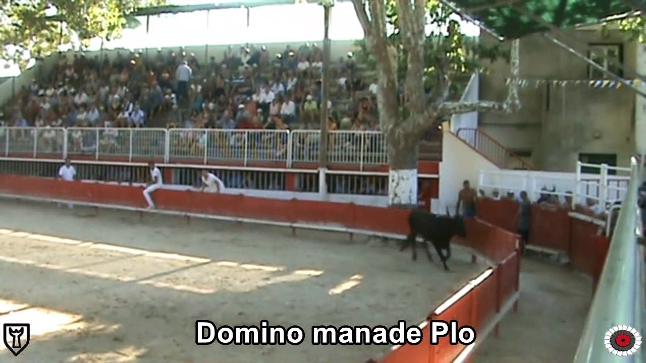 2022 08 31 Domino