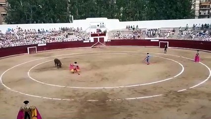 Las imágenes de la cogida del astado de la ganadería Reta de Casta Navarra al sobresaliente en Estella