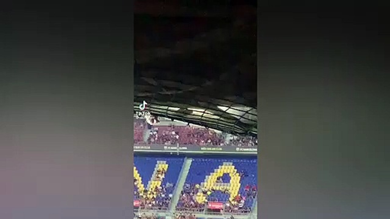 Las imágenes que prueban que el Spotify Camp Nou tiene ratas.