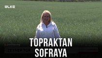 Topraktan Sofraya – Sivas | 7 Ağustos