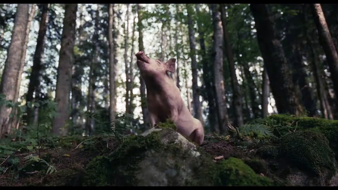 Squeal Trailer