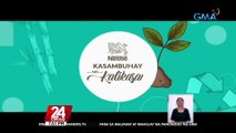 Sustainability advocacy campaign na layong mapangalagaan ang kalikasan, inilunsad ng GMA Network at Nestlé Philippines | 24 Oras