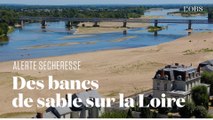 Entre Orléans et Angers, le niveau de la Loire est anormalement bas