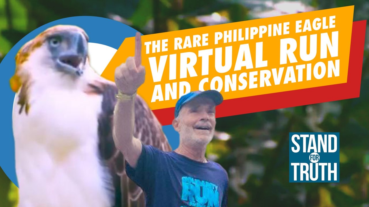 THE RARE PHILIPPINE EAGLE: VIRTUAL RUN AND CONS...