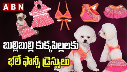 బుల్లిబుల్లి కుక్కపిల్లలకు భలే ఫాన్సీ డ్రెస్సులు || Fancy Dresses for Dogs || ABN DIGITAL