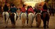 Paris : vers la fin des promenades à dos de poney dans les parcs, au nom du bien-être animal ?