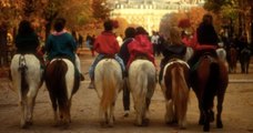 Paris : vers la fin des promenades à dos de poney dans les parcs, au nom du bien-être animal ?