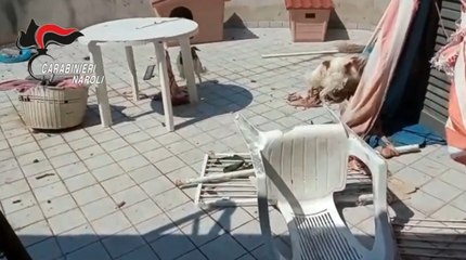 Varcaturo (NA) - Abitazione come discarica, cuccioli cane lasciati morire (08.08.22)