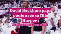 David Beckham papa poule avec sa fille Harper : ce doux moment partagé en vidéo