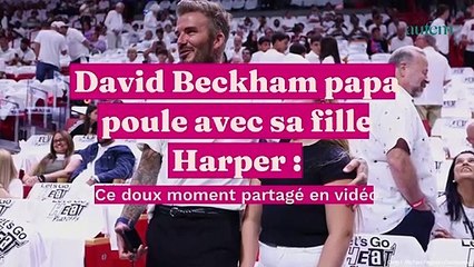David Beckham papa poule avec sa fille Harper : ce doux moment partagé en vidéo