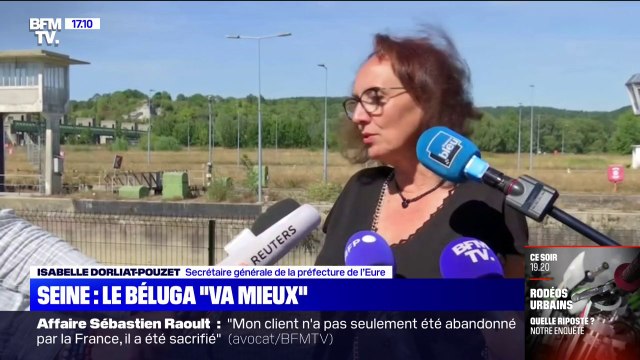 Le béluga piégé dans la Seine commence à avoir un comportement un tout petit peu plus dynamique , annonce la préfecture de l’Eure