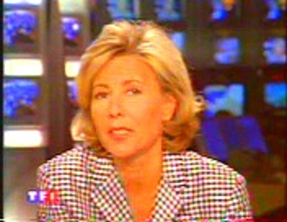 JT  TF1 - avril 2002 - Saint Aubin sur Mer (14750)