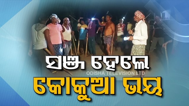 Dacoit gang gives sleepless nights to Ganjam villagers | Special Story