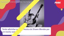 Quiz Shawn Mendes: acerte a música do cantor por um trecho