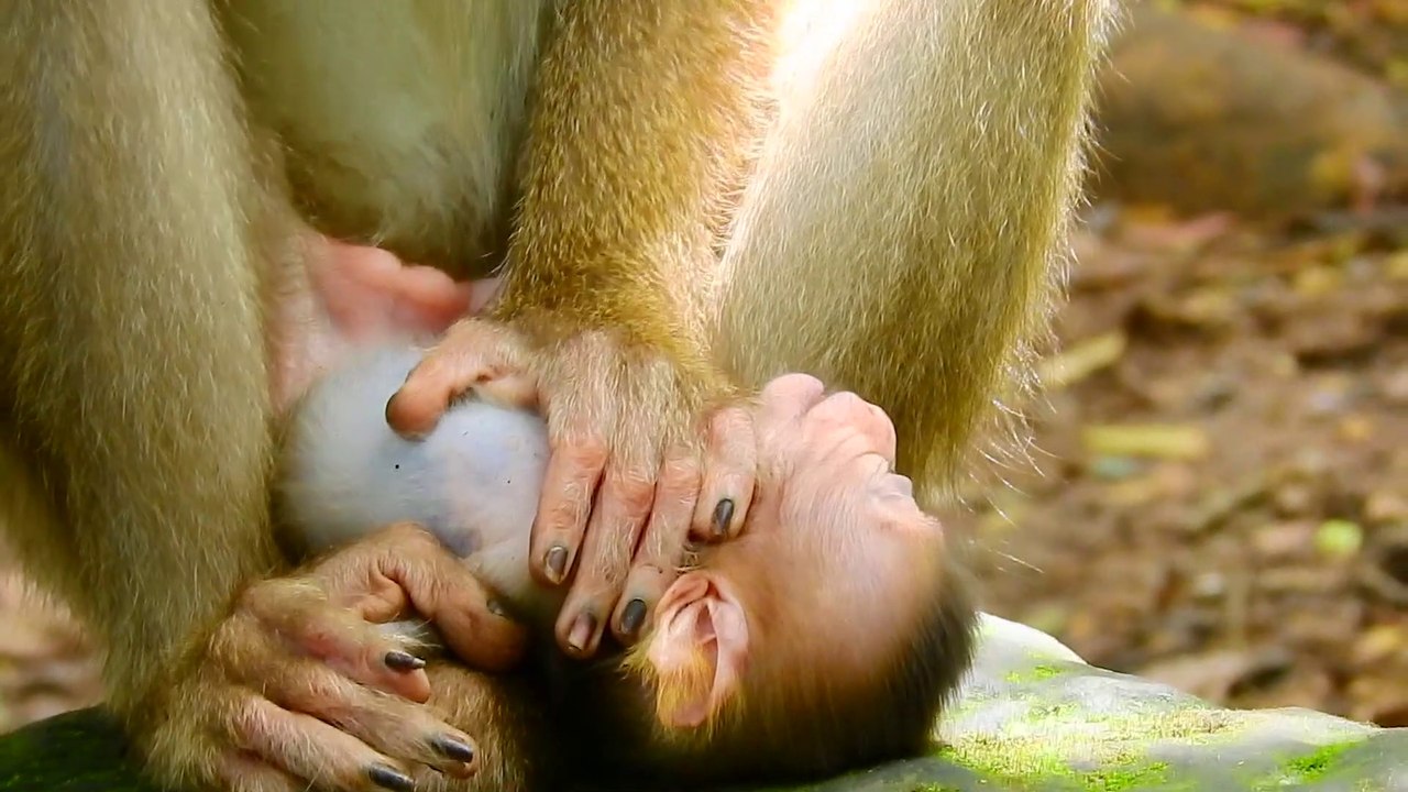 28=S-HOCKED .. MOM REJECTED BABY UNTILL CRY SEI...