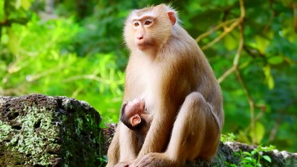 34=Mom Libby- Why take me laydown. I'm so scare