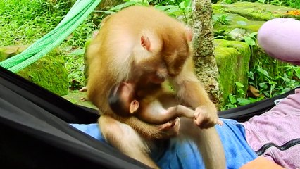 41=S-HOCKED .. MOM REJECTED Rainbow UNTILL CRY SEIZURE...