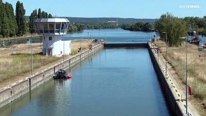 Belugawal in der Seine: Zustand "stationär", Expertenteam soll über Evakuierung entscheiden